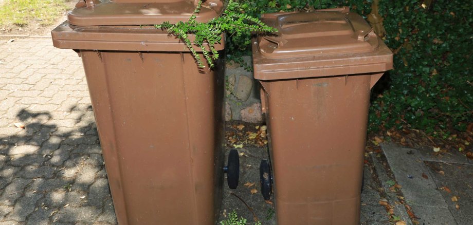 Two,Brown,Composting,Bins,,German,Recycling,System,,Germany