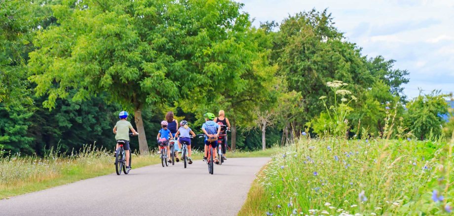 Blurred,Panoramic,Background,With,Children,And,Mothers,On,Bikes,On