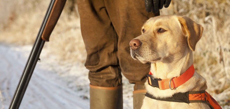 Hunter,With,Dog