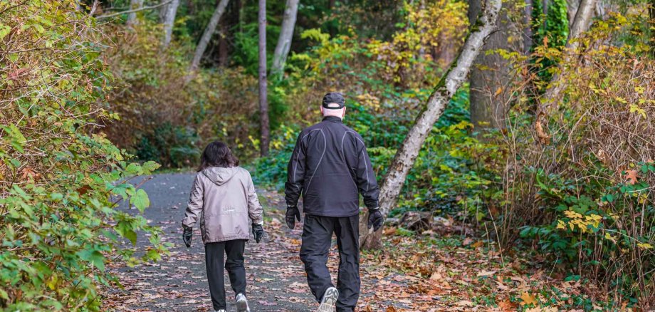 Senior,Couple,Walking,In,The,Park.,Elderly,Couple,Walking,In